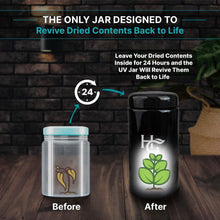 Load image into Gallery viewer, Premium 500ml Airtight Jars with UV Protection - Ideal for Spices &amp; Coffee