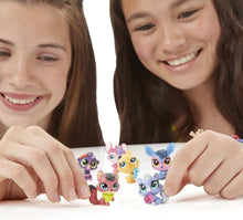 Load image into Gallery viewer, 15-Piece Collector Pack with Sparkly Kitty - Ideal for Pet Themed Parties