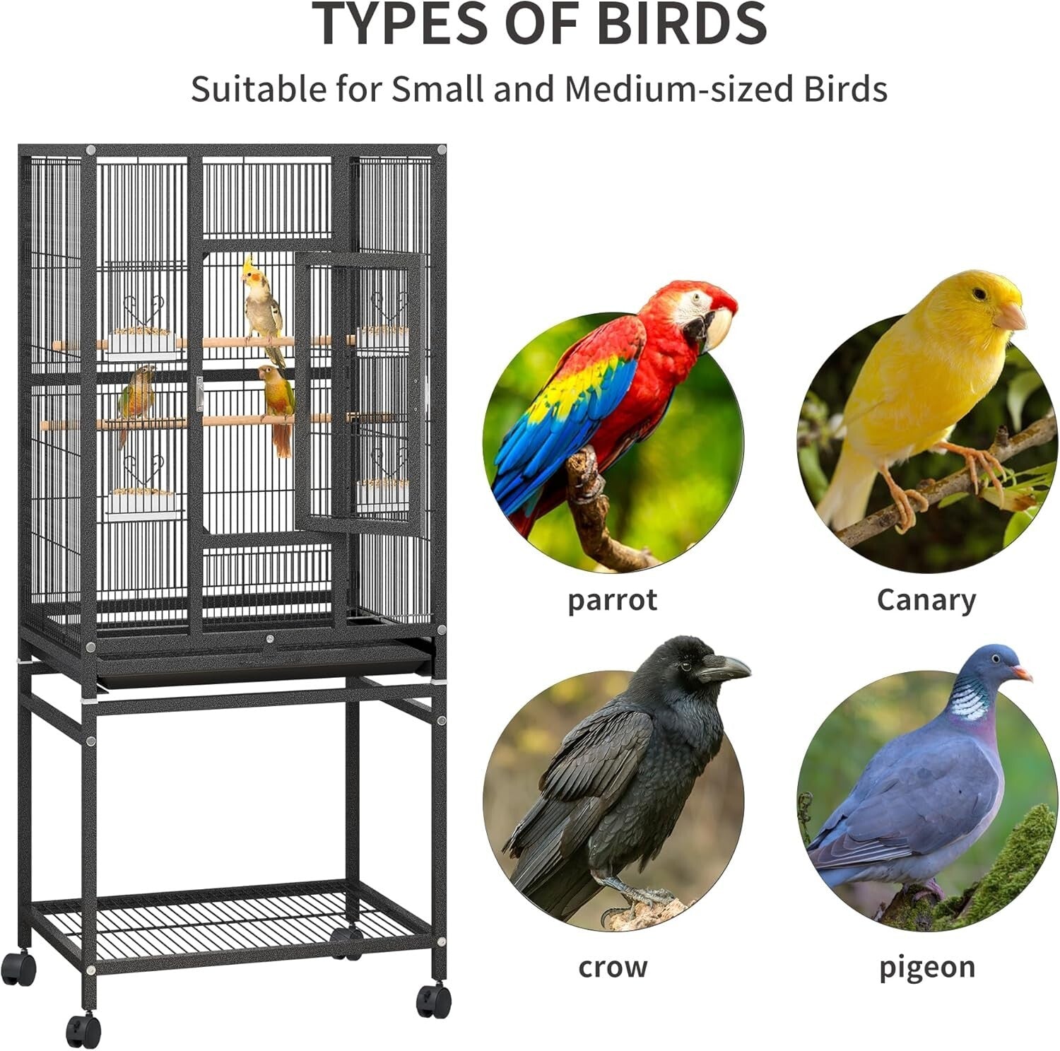 Spacious Bird Cage with Secure Lock, Seed Catcher & Storage - Ideal for Parrots