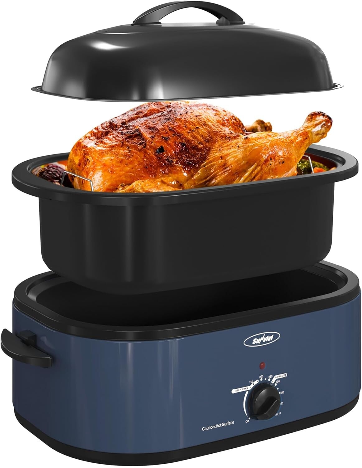 Stainless Steel Electric Roaster Oven with Defrost/Warm Feature - 20 Qt Capacity
