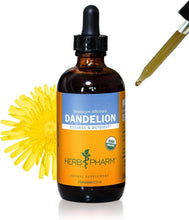 Load image into Gallery viewer, Liquid Dandelion Extract, 4 oz - Certified Organic for Natural Detox Boost