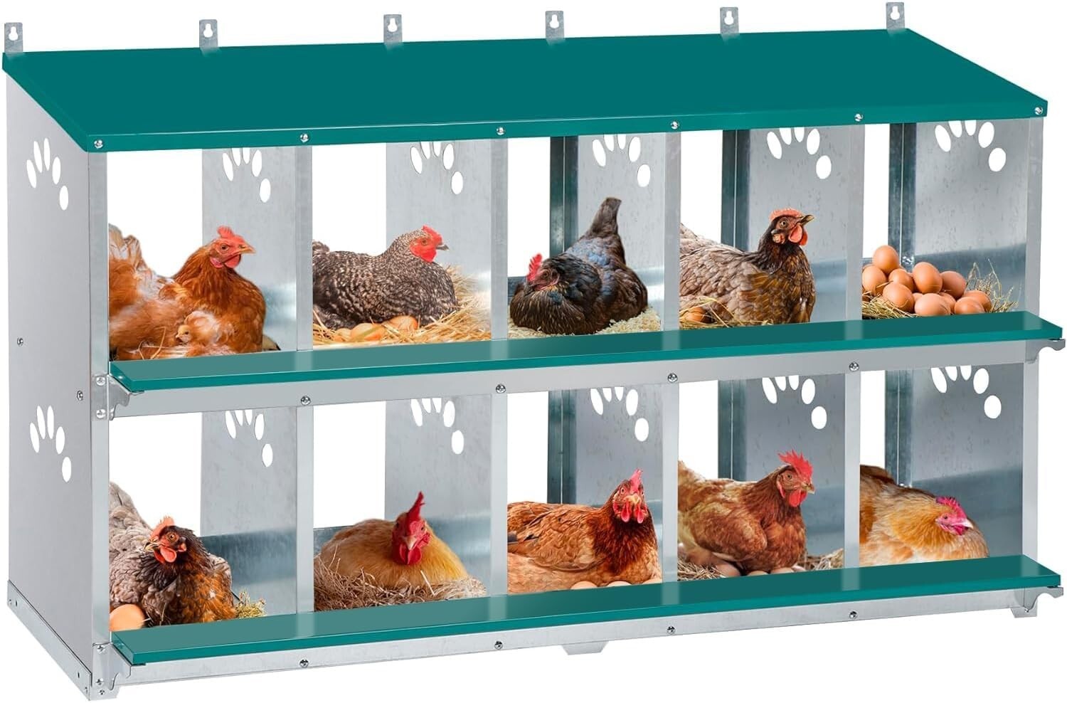 Spacious Metal Chicken Nesting Box with 10 Compartments and Ventilation