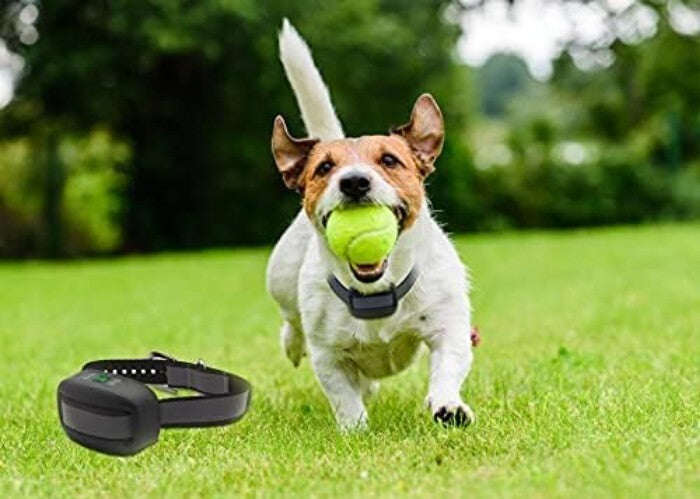 Safe & Adjustable GPS Wireless Dog Fence – Cover Up to 3300 ft! Easy Setup