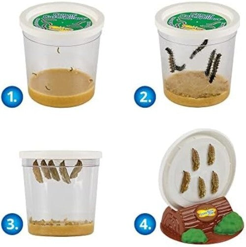 Metamorphosis Magic: 5 Caterpillars & Mini Habitat - Perfect Family Project