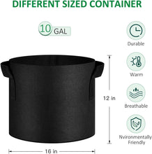Load image into Gallery viewer, Stylish &amp; Versatile 10 Gallon Fabric Grow Bags - Ideal for Indoor &amp; Outdoor Use