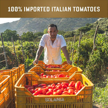 Load image into Gallery viewer, Tomato Sauce Variety Pack - Arrabbiata, Marinara, Roasted Garlic &amp; More - Vegan
