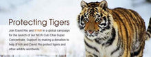 Load image into Gallery viewer, Tiger Spice Organic Chai Tea Latte Mix 64oz – Dairy-Free, Gluten-Free Delight