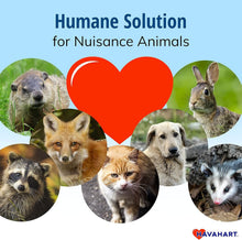 Load image into Gallery viewer, Humane Easy Set 1-Door Animal Trap for Squirrels and Rabbits - Compact Design
