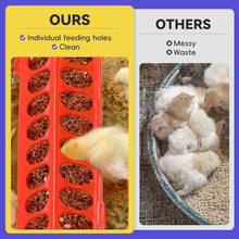Load image into Gallery viewer, Lightweight 5-in-1 Brooder Kit for Chicks - Playpen, Feeder &amp; Waterer Included