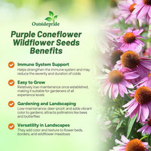 Load image into Gallery viewer, Heirloom Echinacea Coneflower Seeds - Drought Tolerant and Easy to Grow