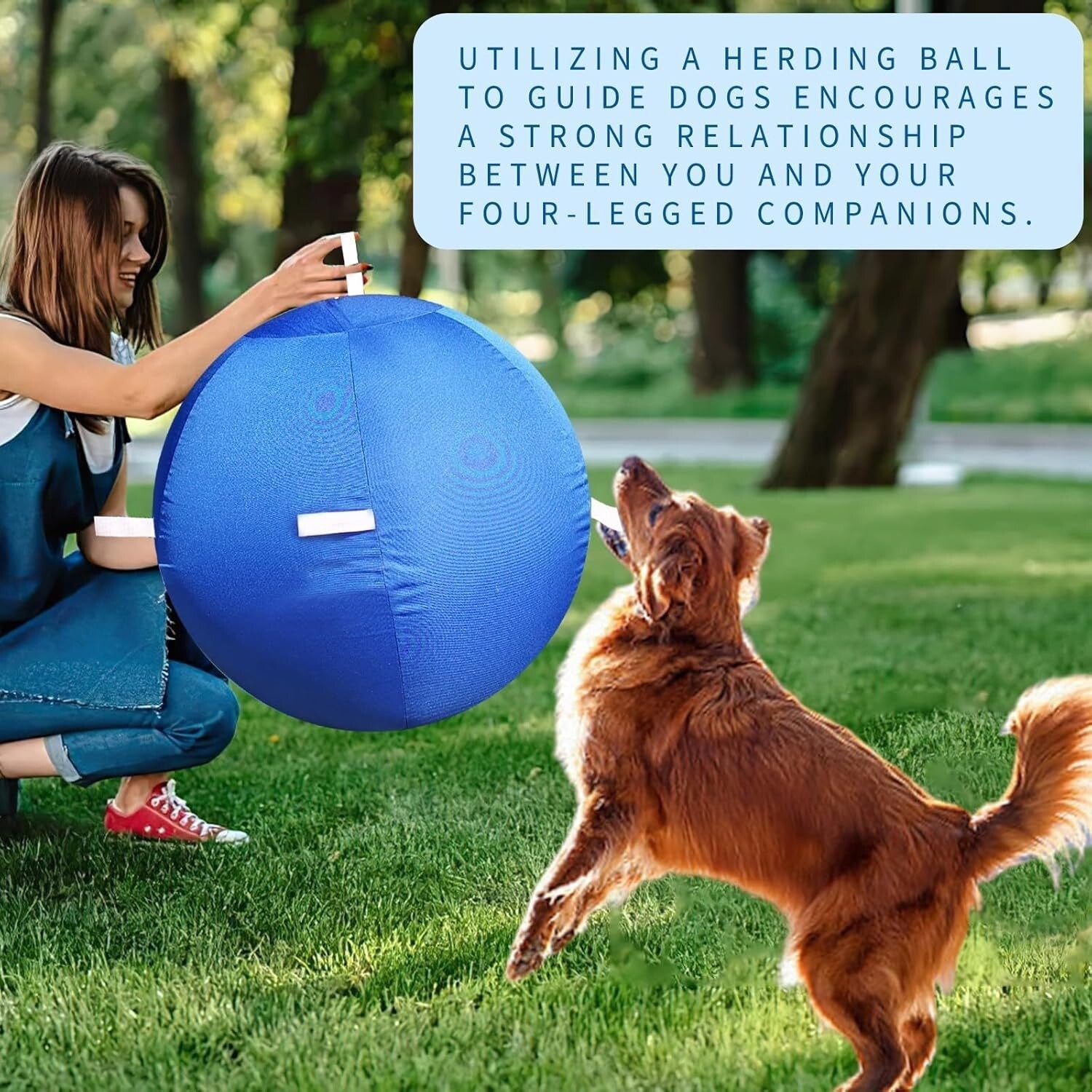 Durable Anti-Burst 25" Dog & Horse Soccer Ball with Safety Cover in Blue