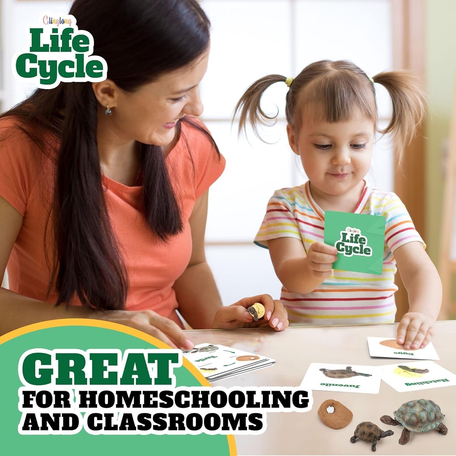 Engaging Montessori Animal Life Cycle Kit – 3D Matching Game for Young Learners