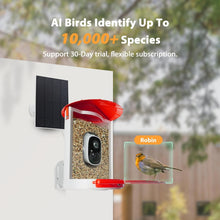 Load image into Gallery viewer, Solar-Powered Camera Bird Feeder with Seed Guard - Perfect Gift for Bird Lovers
