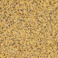 Load image into Gallery viewer, Lemon Zest and Black Pepper Seasoning - Bulk Pack of 12, Perfect for Grilling
