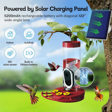 Load image into Gallery viewer, High-Definition Hummingbird Feeder Camera with Notifications – Family-Friendly