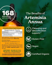 Load image into Gallery viewer, Expertly Crafted 4 oz Organic Sweet Annie Liquid Extract for Optimal Wellness