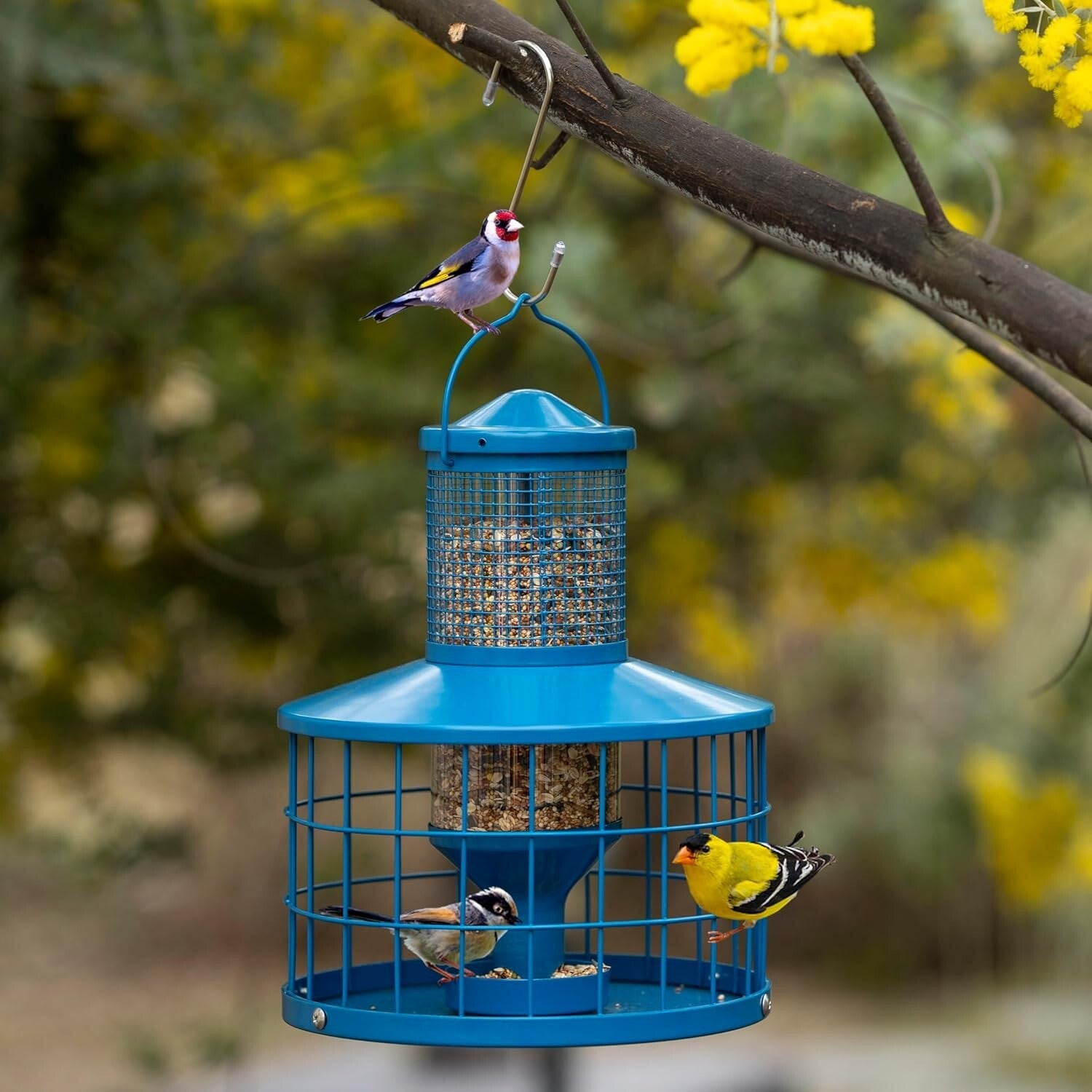 Durable Blue Hanging Bird Feeder for Finch & Bluebird - Squirrel-Proof Design