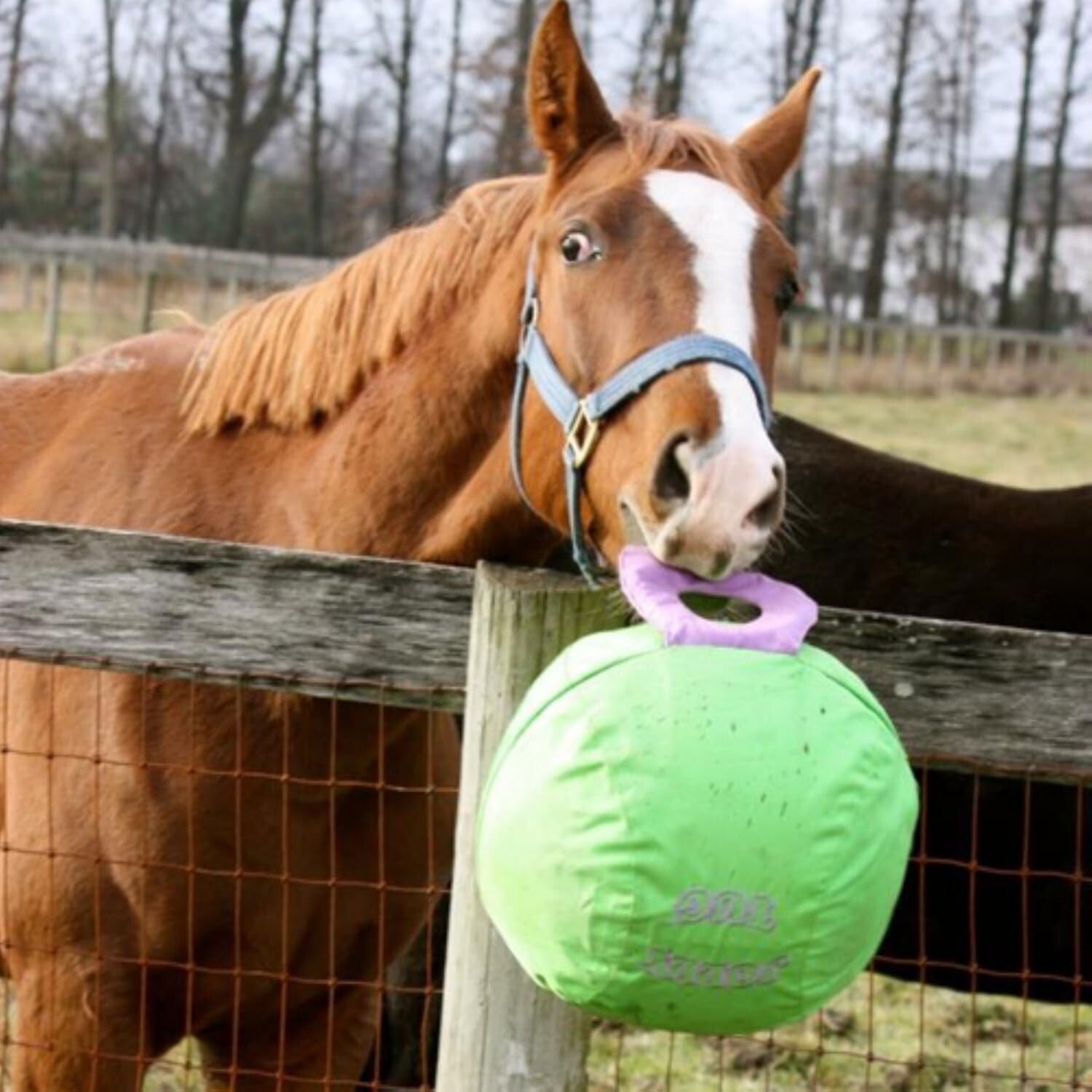 14" Jolly Tug Toy for Horses - Bright Blue, Machine Washable, All Breeds