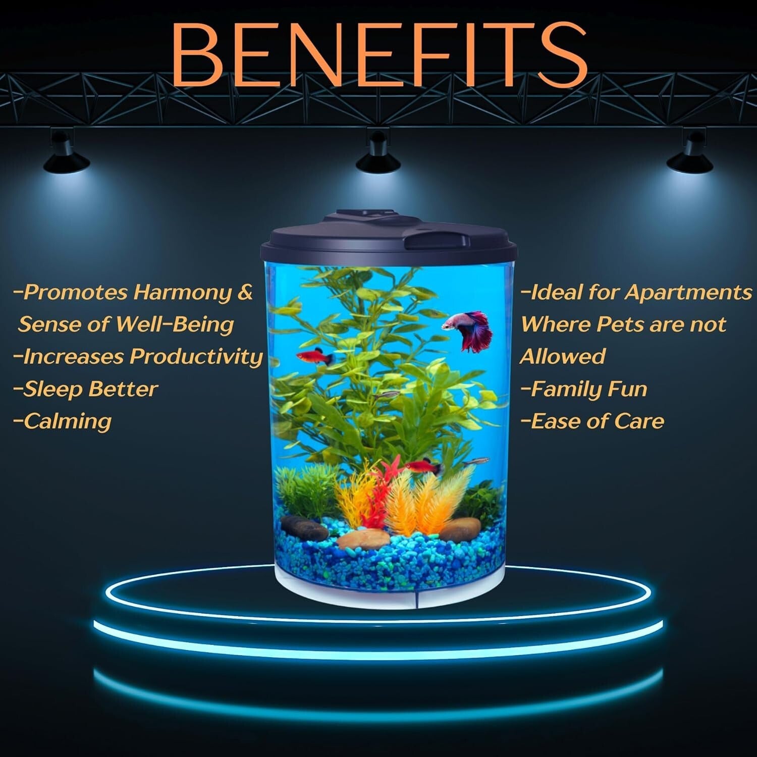 360-Degree View Fish Tank: AquaView 3-Gallon Aquarium with Colorful LED Lights