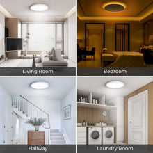Load image into Gallery viewer, Versatile 2-Pack 12" LED Ceiling Lights with 3 Color Temperatures and Night Mode