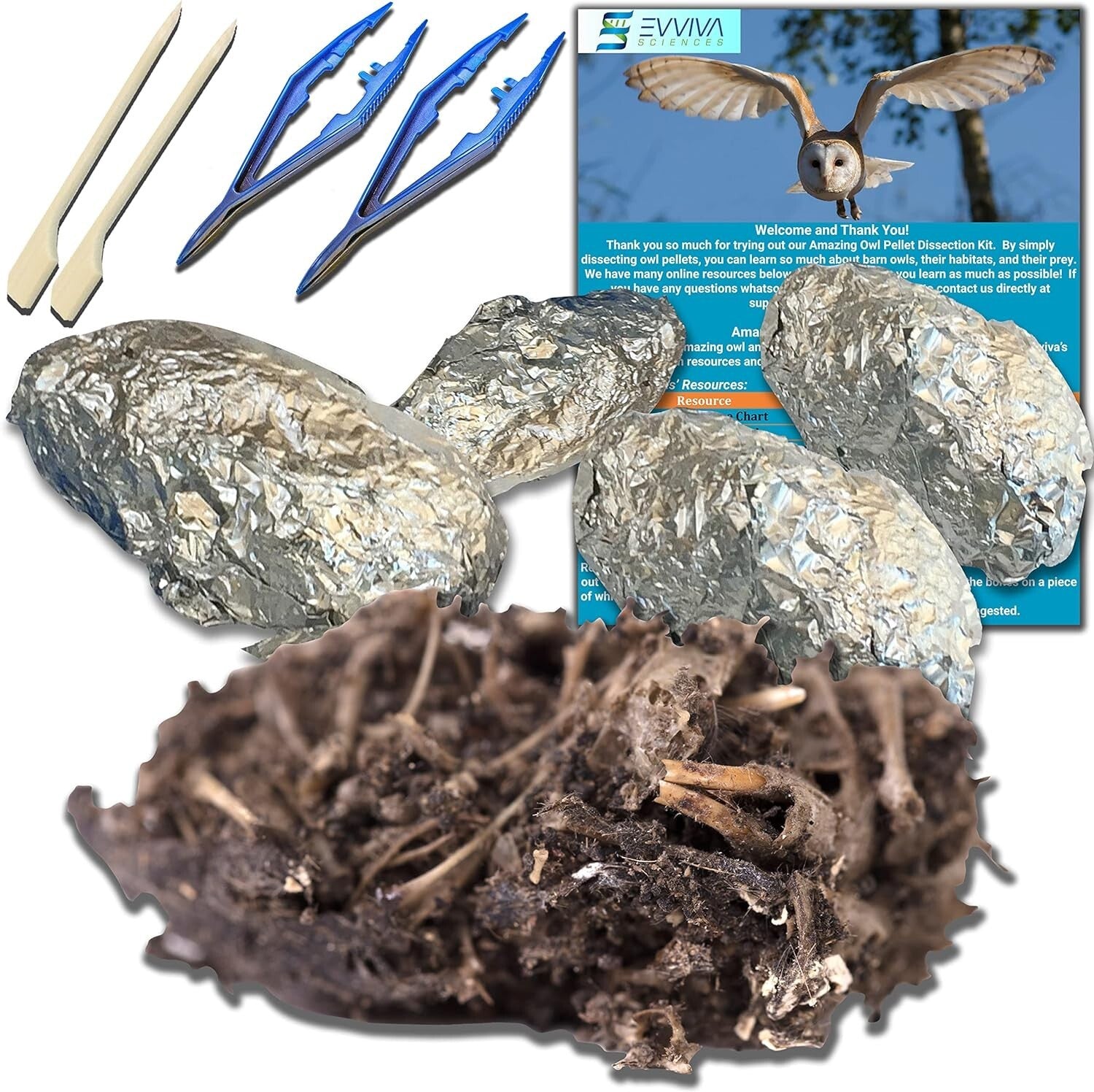 Educational Owl Pellet Dissection Kit with Variety of Sizes - Ideal for Ages 15+