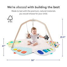 Load image into Gallery viewer, Award-Winning Montessori Activity Gym with Organic Cotton Teething Toys - 0+