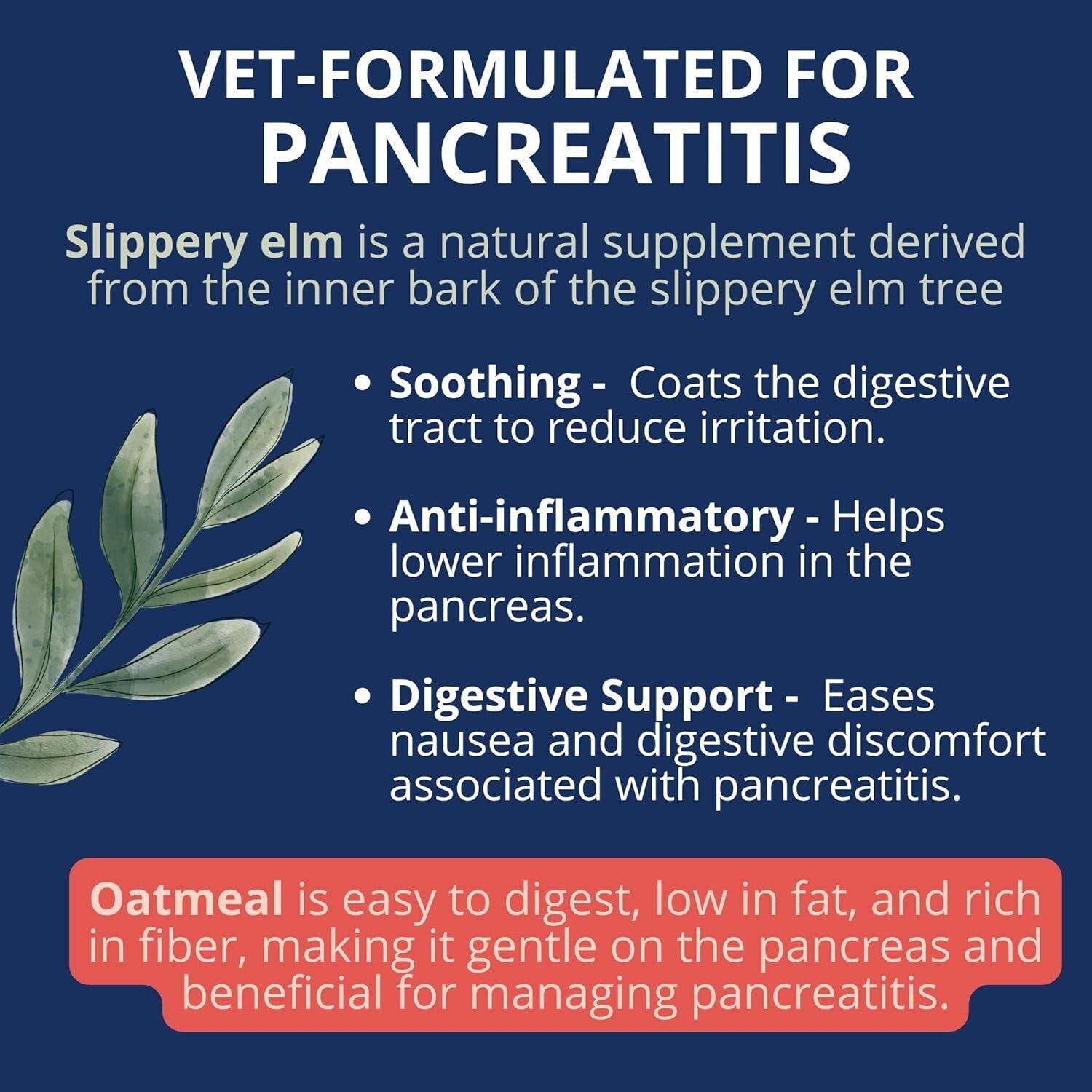 Natural Stomach Support Dog Food | Freeze-Dried Turkey, Sweet Potato, 6 Pack