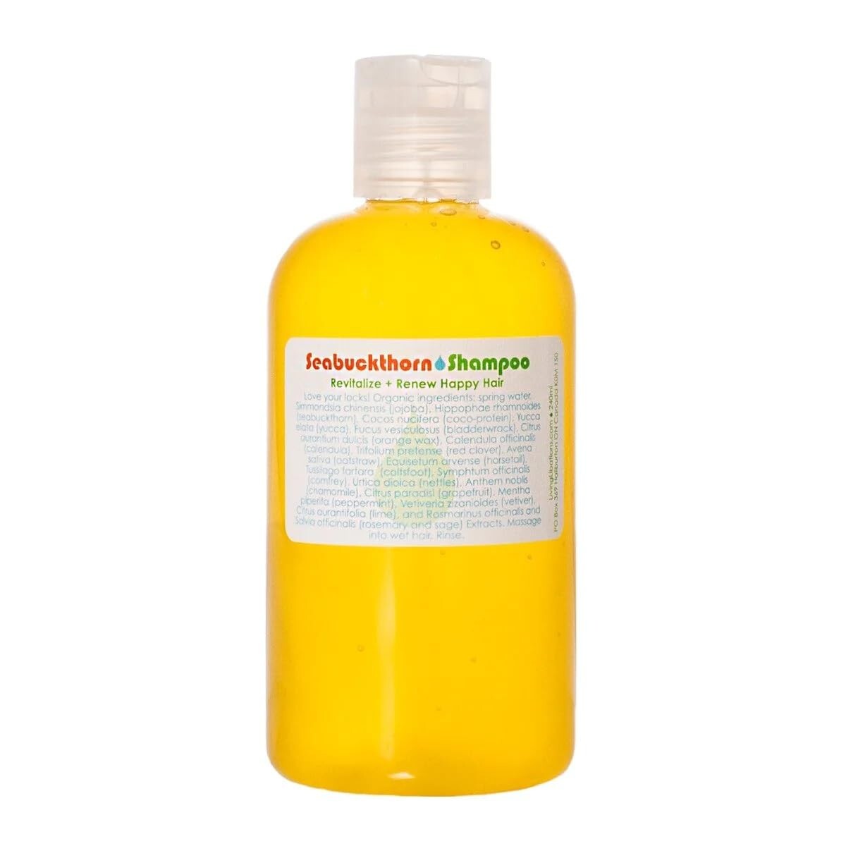 Natural Seabuckthorn Shampoo | Paraben & Sulfate Free | 8 fl oz Clean Hair Care