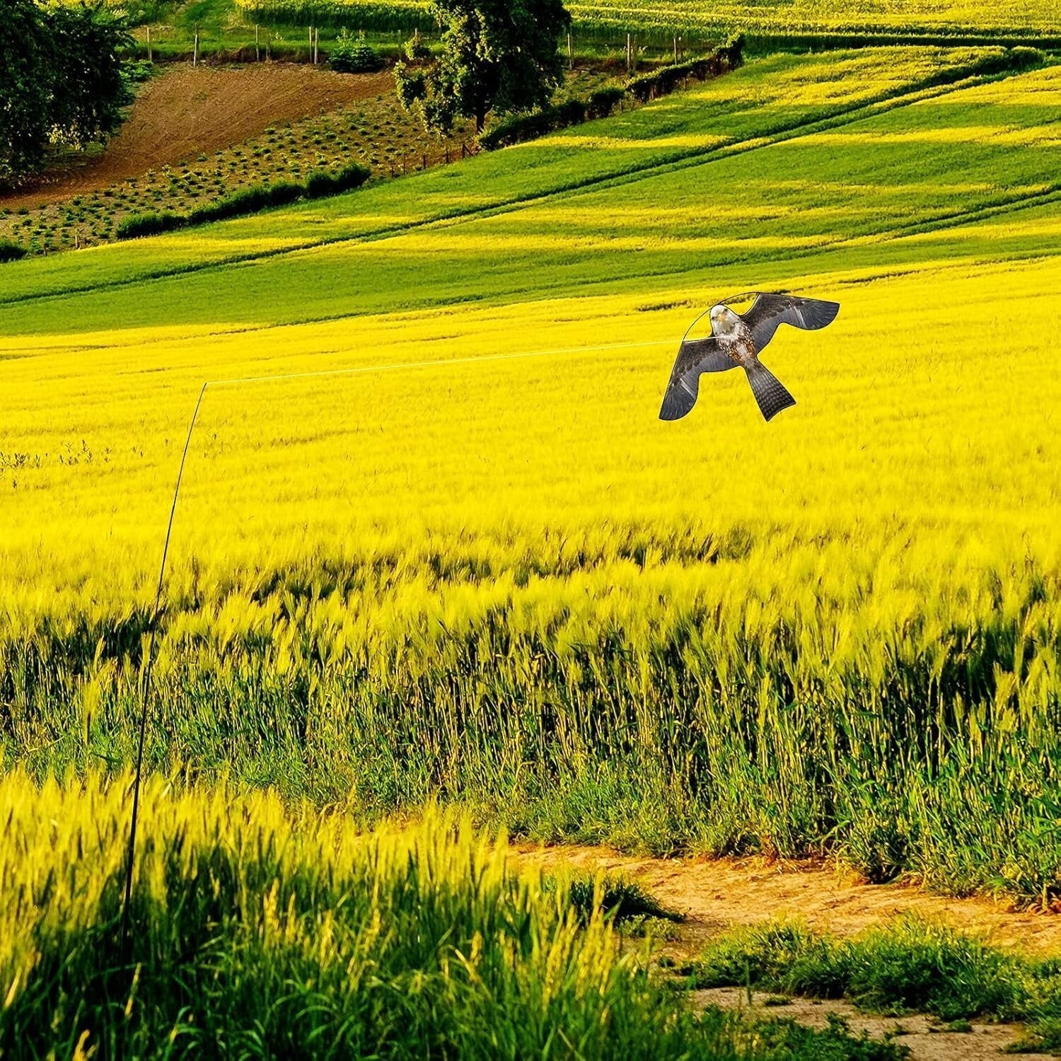 47" Hawk Bird Scaring Kite with Telescopic Pole - Pigeon Deterrent for Farms