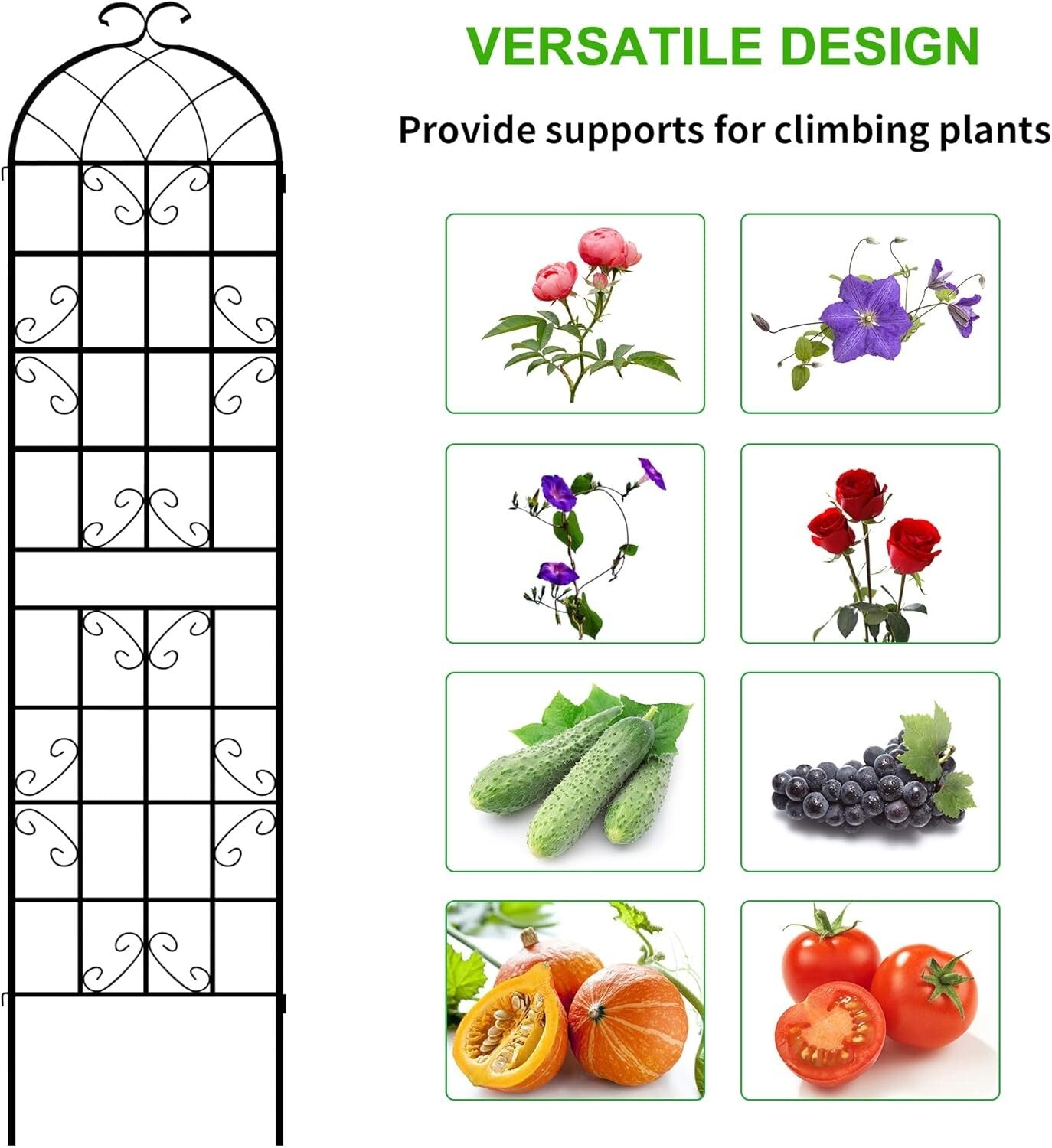 Versatile 4-Panel Outdoor Iron Garden Arch - Cultivate Stunning Climbing Plants