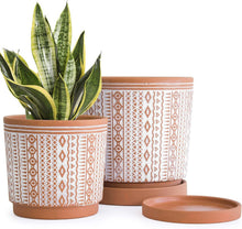 Load image into Gallery viewer, Elegant Terracotta Flower Pots - 2-Piece Set, Indoor Use, with Drainage Holes