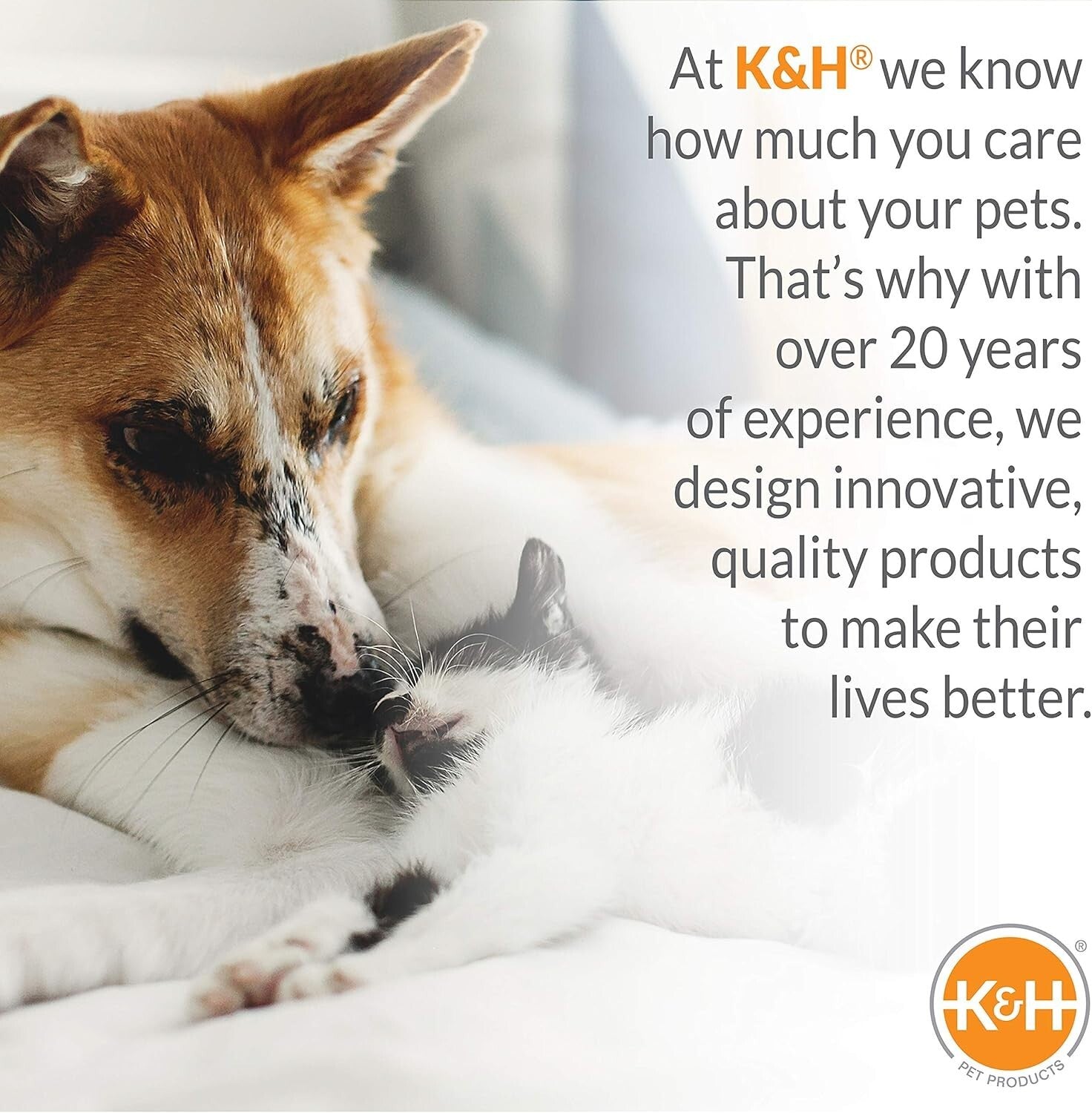 Spacious 22-Inch Heated Cat Bed with Waterproof Heater and Safety Certification