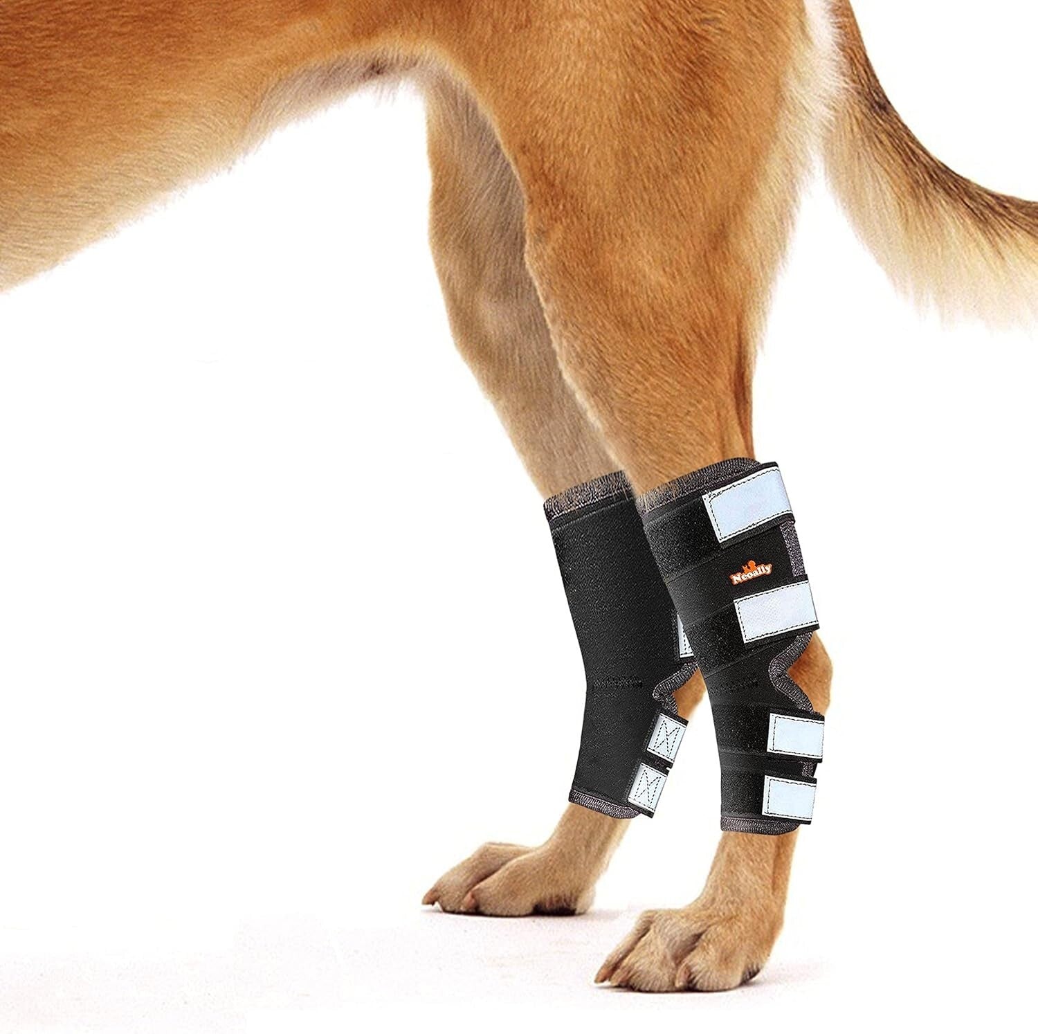 Large Dog Rear Leg Hock Brace - Comfortable Support for ACL & CCL Injuries