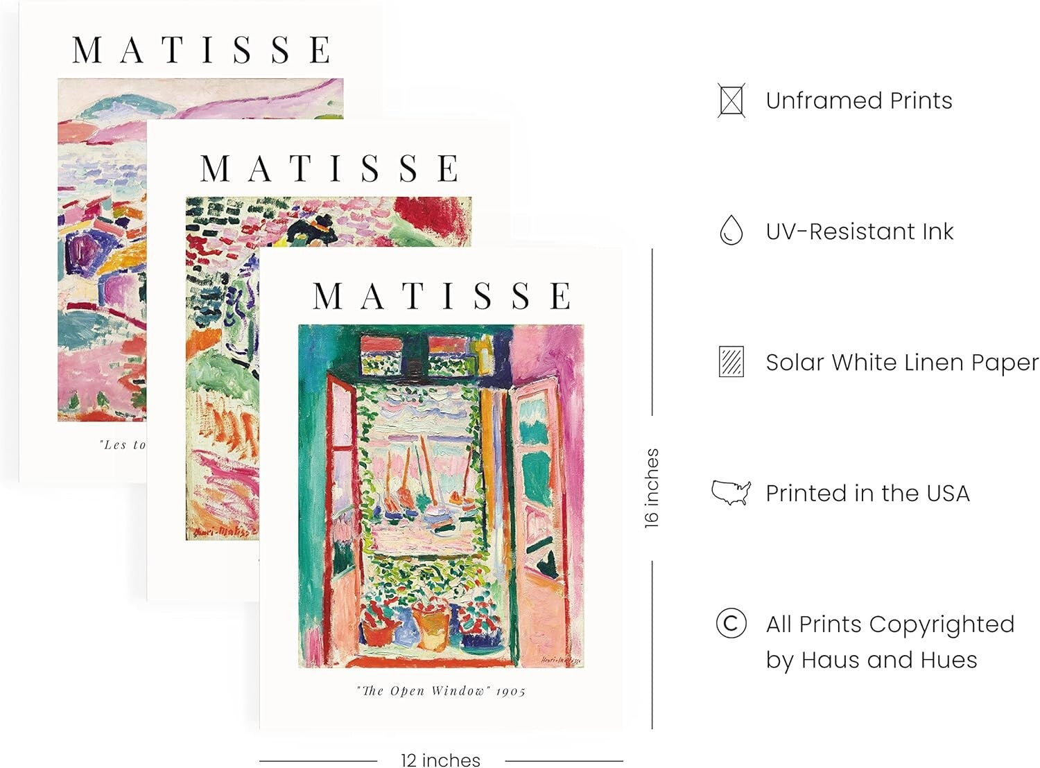 Transform Your Home: Matisse Wall Art Set with Protective Plexiglass, 12x16