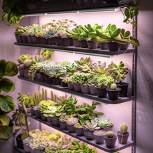 Load image into Gallery viewer, Super Bright 2FT T8 Grow Lights with V-Shaped Reflector for Home Indoor Greenery