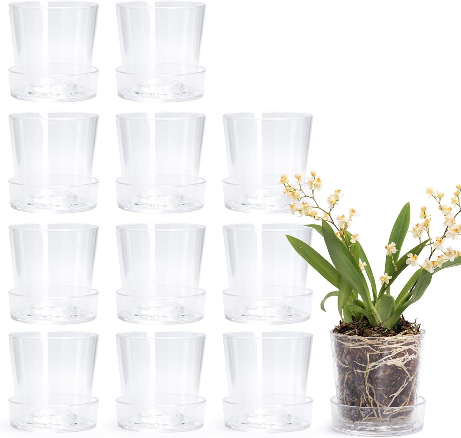Modern 3.5 Inch Clear Acrylic Pot with Tray - Ideal for Herbs and Succulents