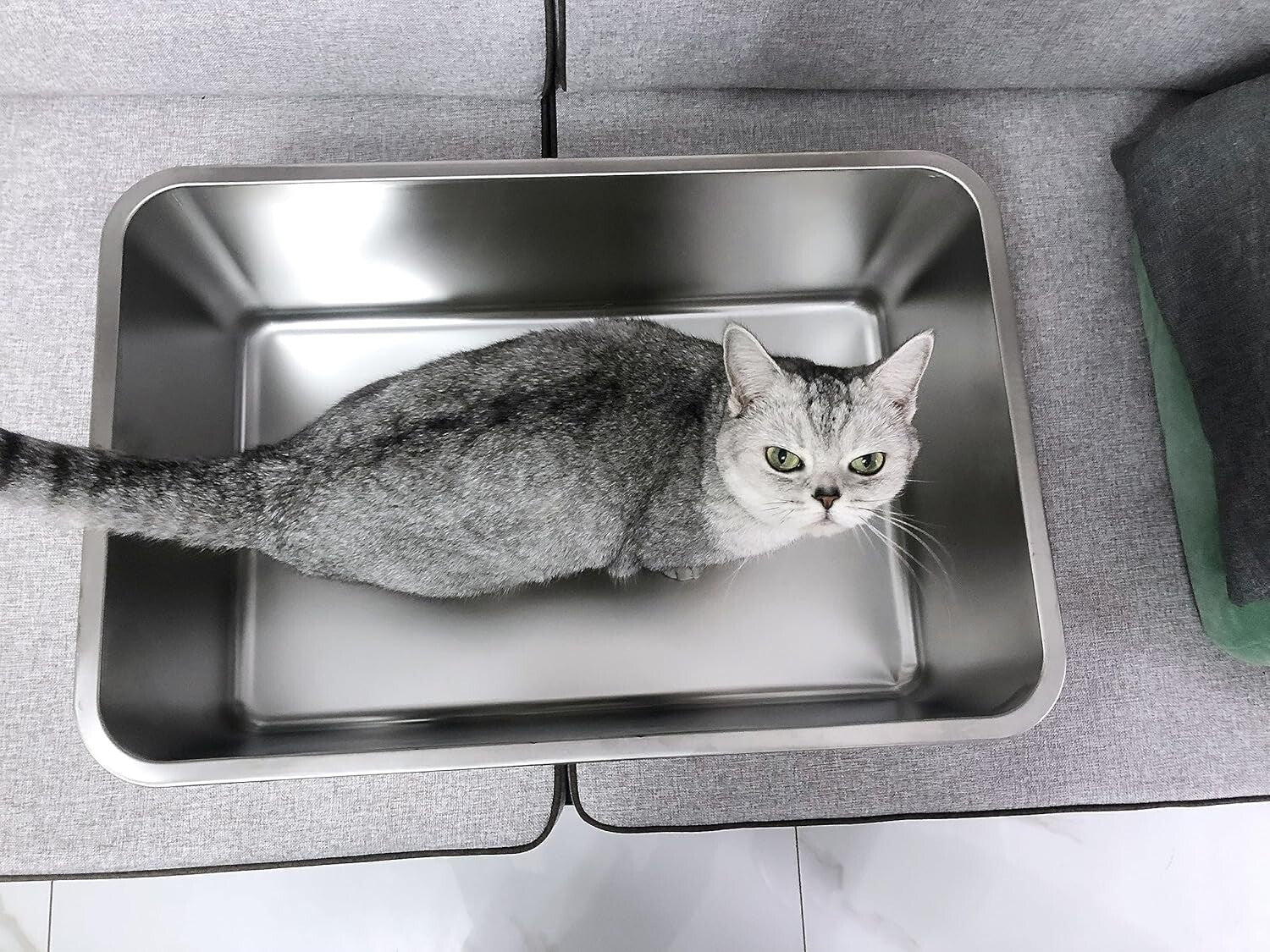 Large Stainless Steel Cat Litter Box: Odor-Free & Non-Stick, 19.5"L x 13.5"W