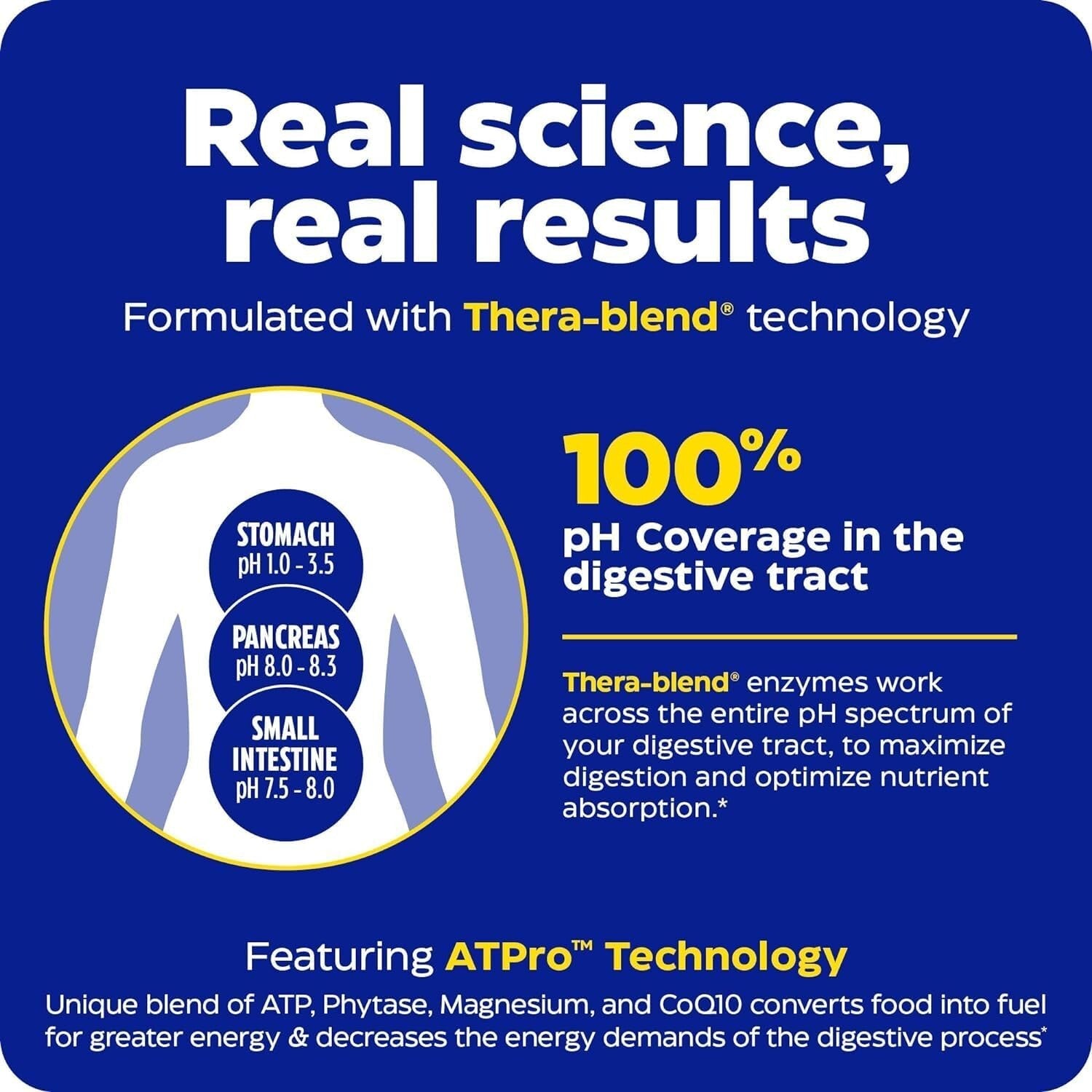 Maximum Strength Digestive Enzymes - 240 Capsules for Instant Bloating Relief