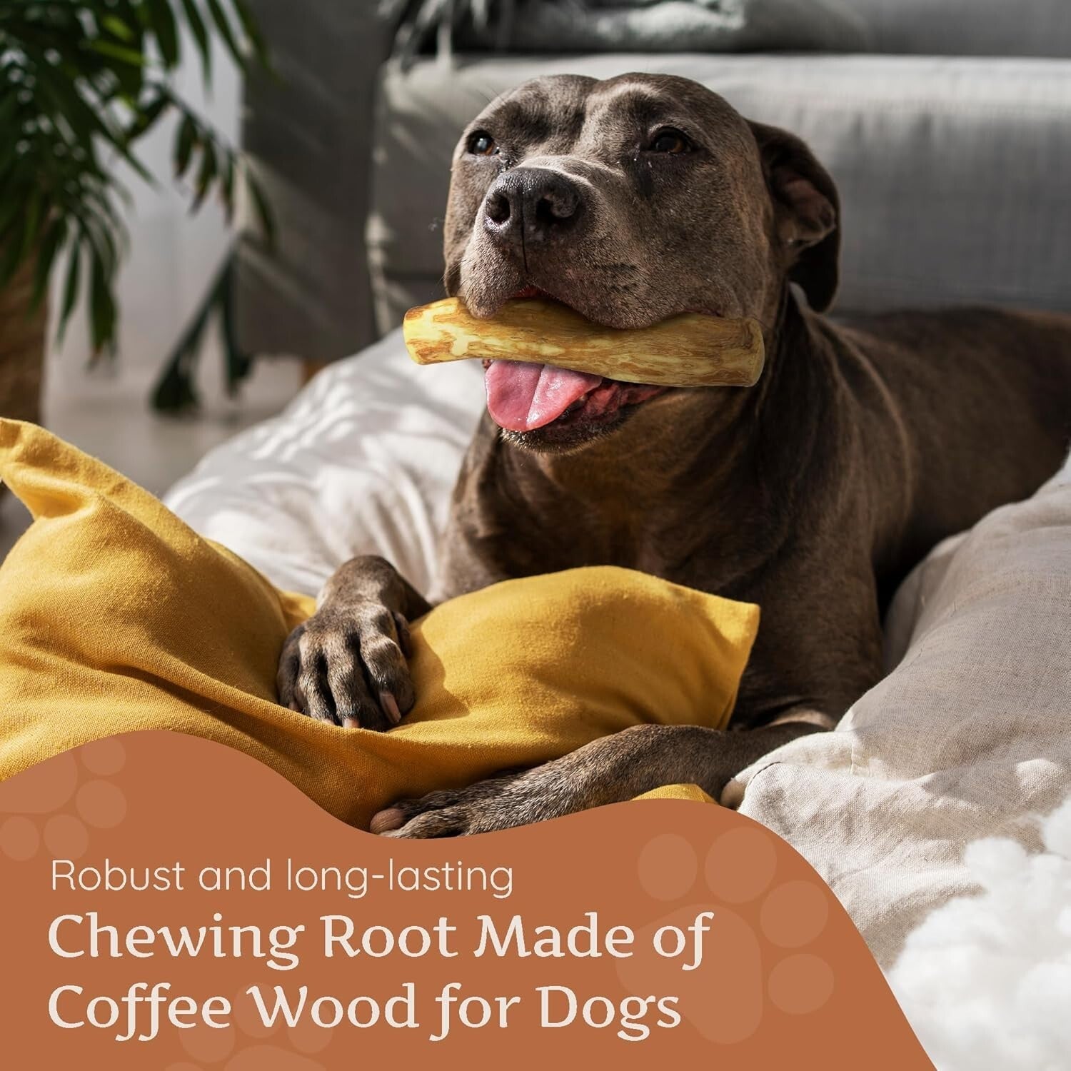 All-Natural Coffee Wood Chewing Toy Set of 3 - Promotes Healthy Chewing Habits