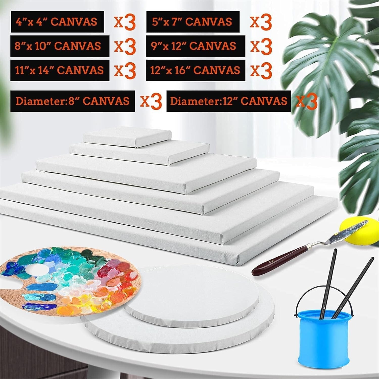 Diverse 24 Canvas Set with Round and Rectangle Shapes - Ideal for Creators