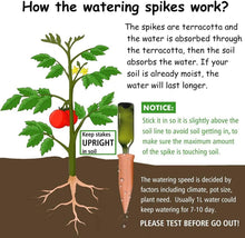Load image into Gallery viewer, 8 Pack Terracotta Self-Watering Spikes for Hassle-Free Indoor &amp; Outdoor Plants