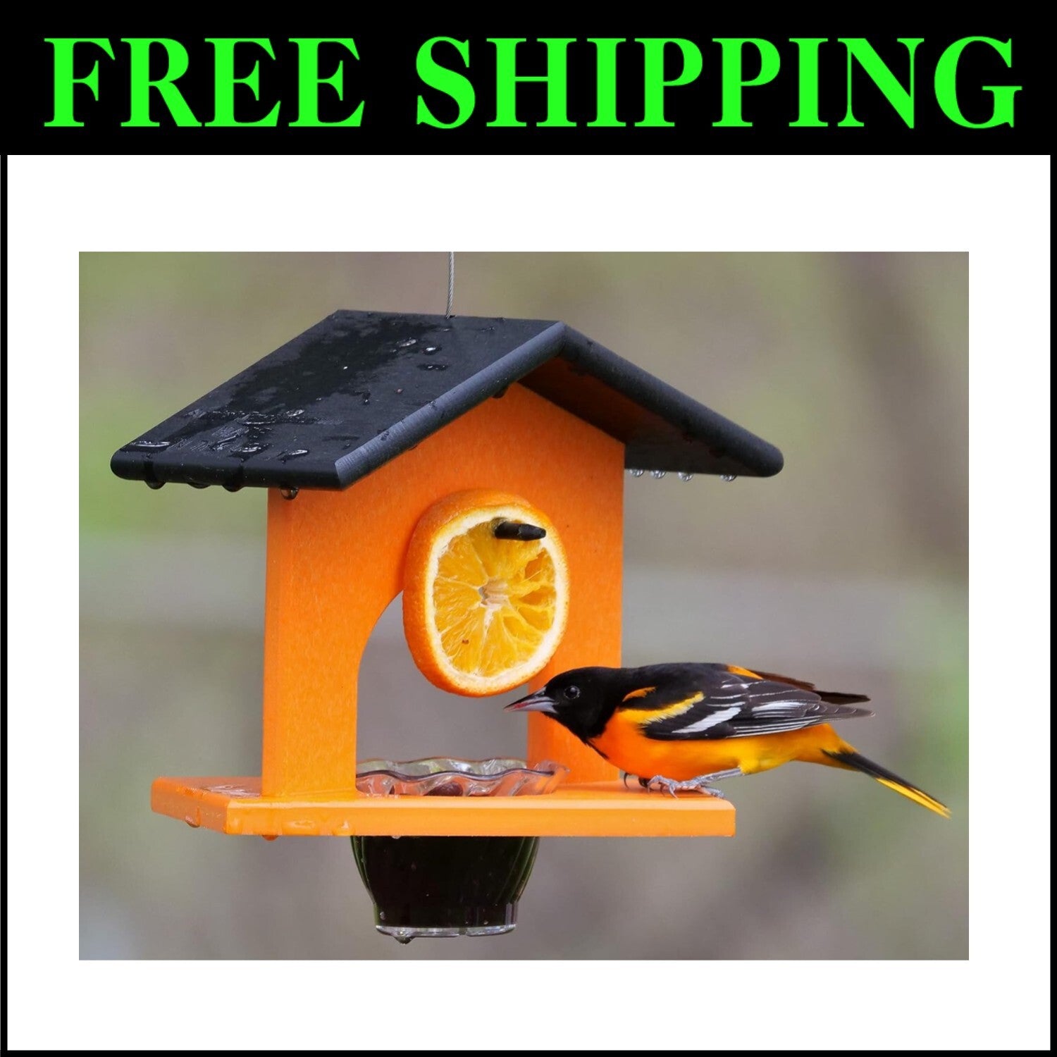 Stunning Black & Orange Oriole Feeder with Grape Jelly Dish - Weather Resistant