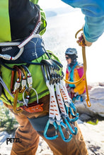 Load image into Gallery viewer, Versatile Yellow D-Shaped Locking Carabiner - Lightweight &amp; Compact for Climbers