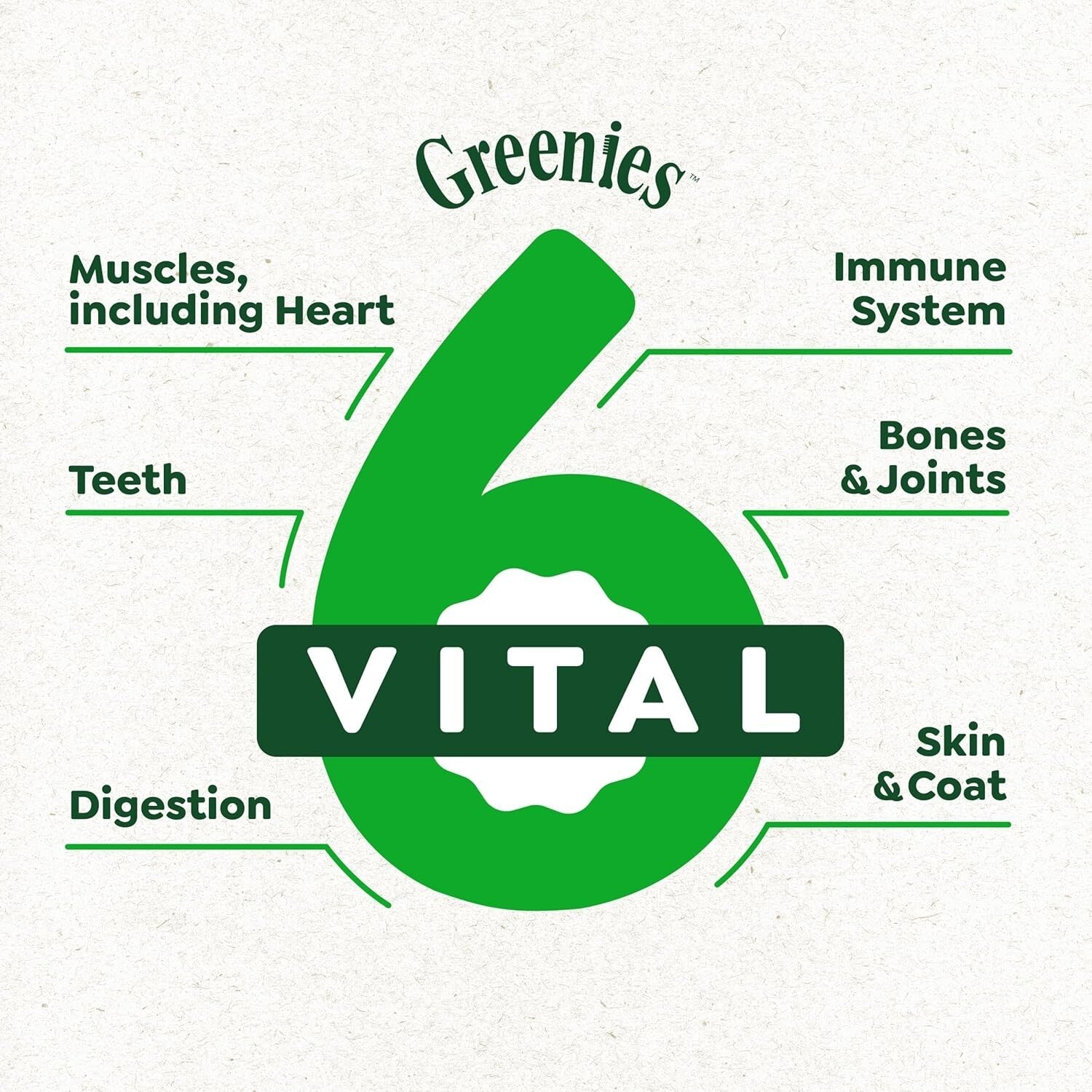 15 lb. Premium Adult Dog Food with Real Lamb & Brown Rice for Sensitive Stomach