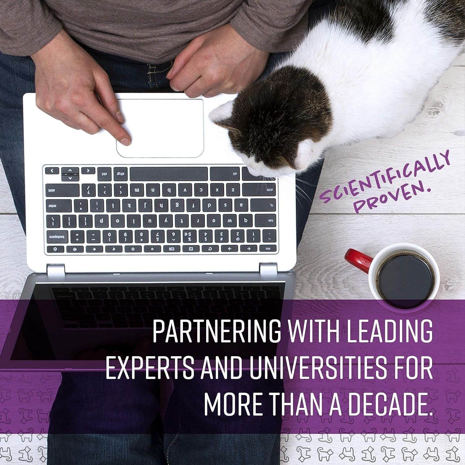 Purple Calming Collar for All Cats - Reduces Stress & Unwanted Behavior, 3 Count