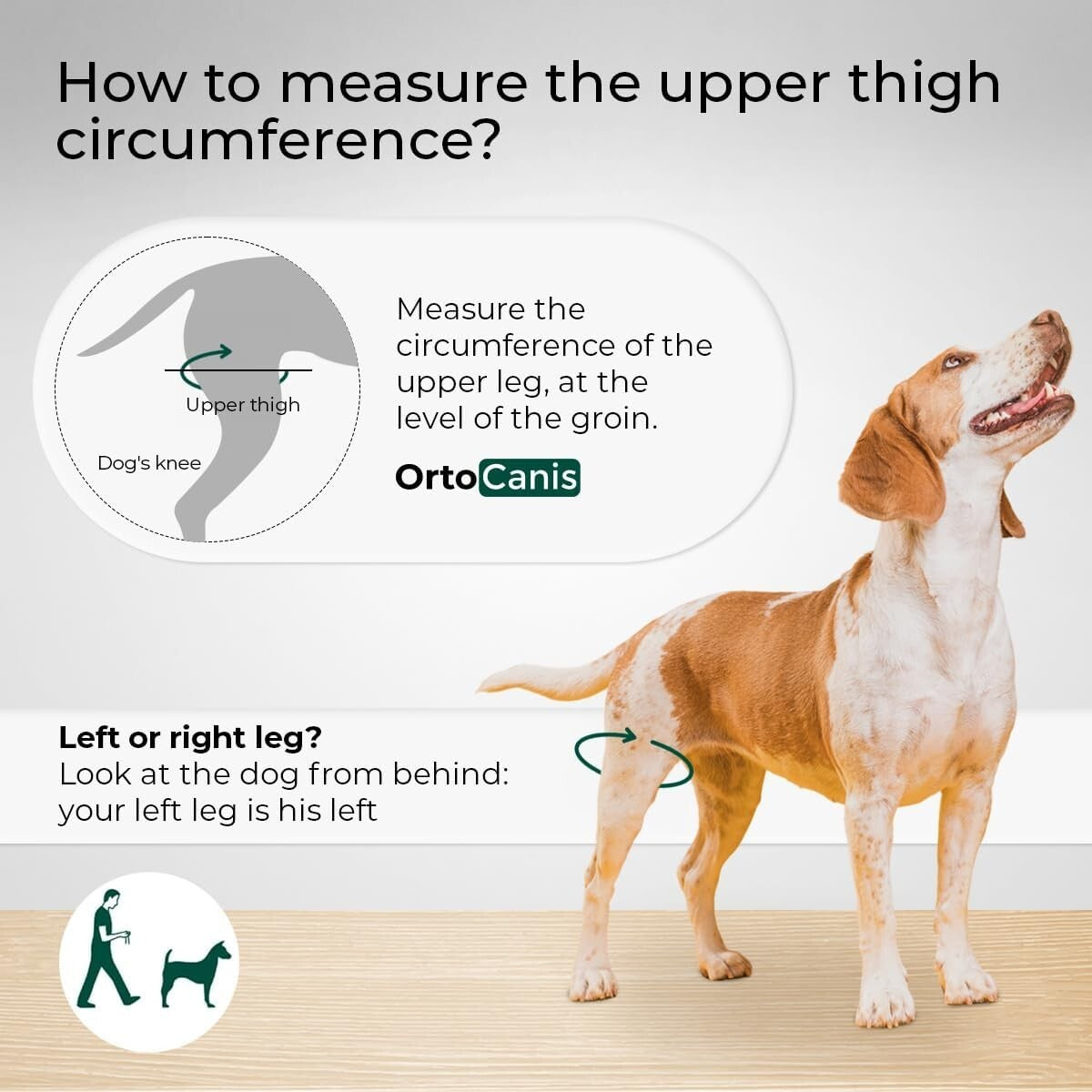 Veterinary-Quality Left Leg Dog Brace for ACL & Patella Support - Mini Size