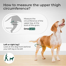 Load image into Gallery viewer, Veterinary-Quality Left Leg Dog Brace for ACL &amp; Patella Support - Mini Size