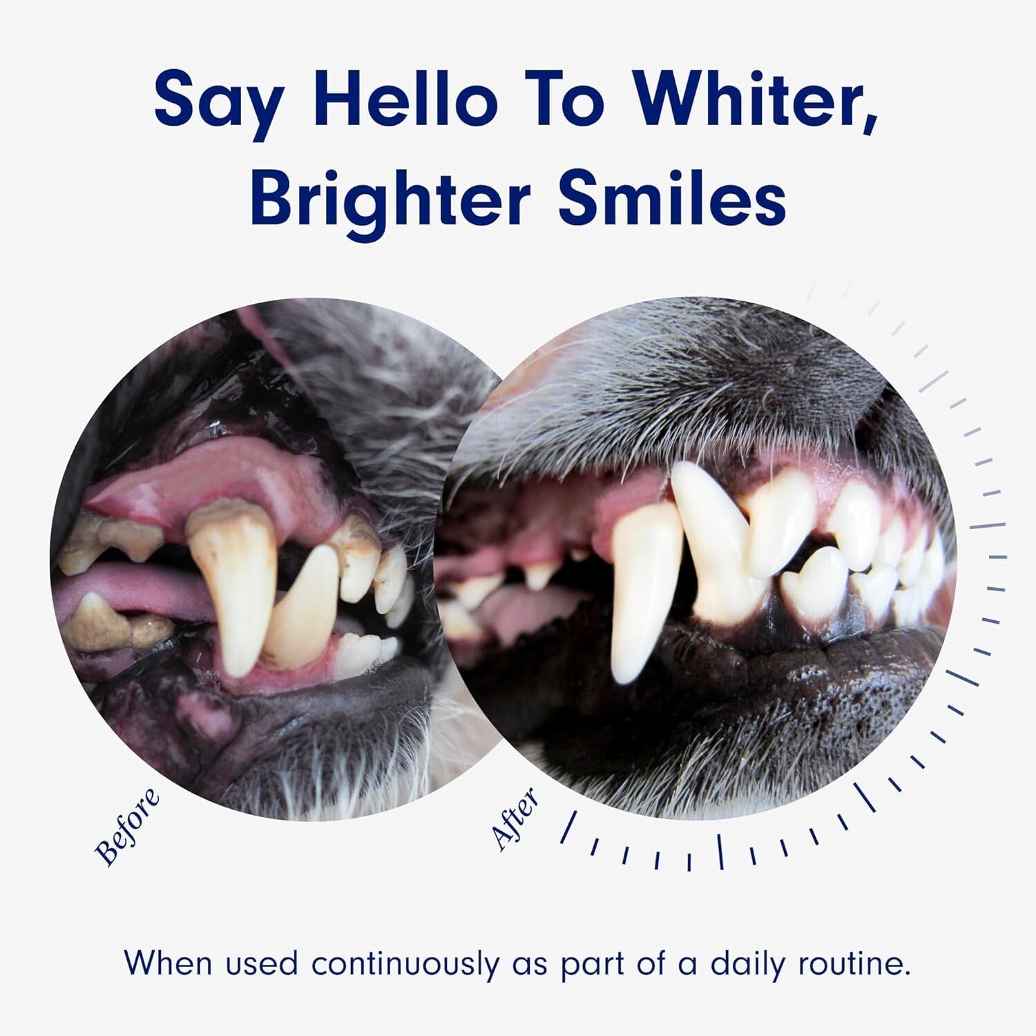 2-Pack Dog Dental Formula - Fresh Breath & Tartar Control Water Additive