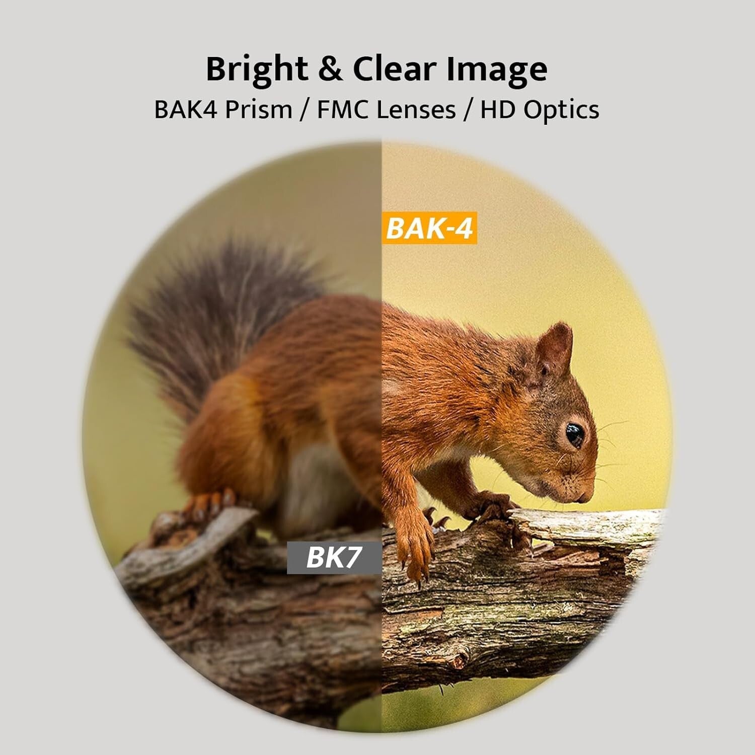 Advanced 12x42 Binoculars for Adults - Waterproof with High Clarity and Tripod