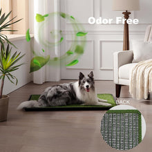Load image into Gallery viewer, Spacious Indoor-Outdoor Dog Toilet: Ultra-Absorbent Grass Pad for Large Breeds